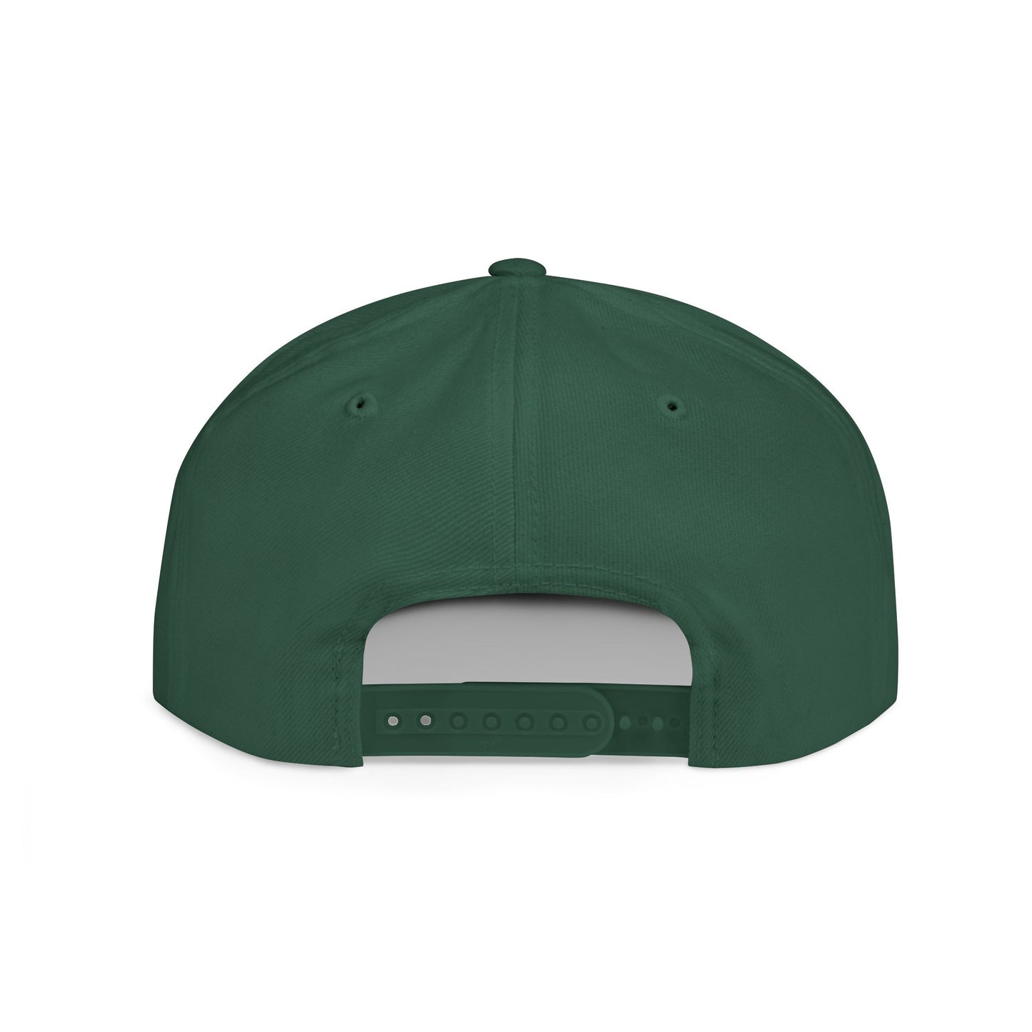 GEORGIA (framed) Flat Bill Snapback